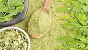 moringa
