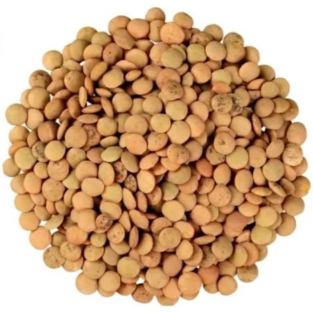 Φακές Ελληνικές ΒΙΟ χύμα